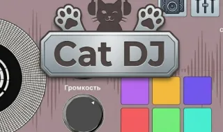 Cat DJ