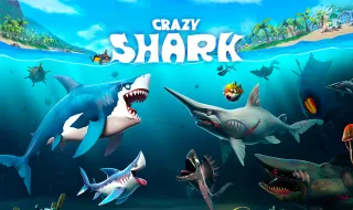 Crazy Shark