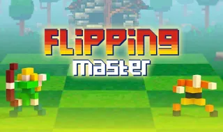Flipping Master